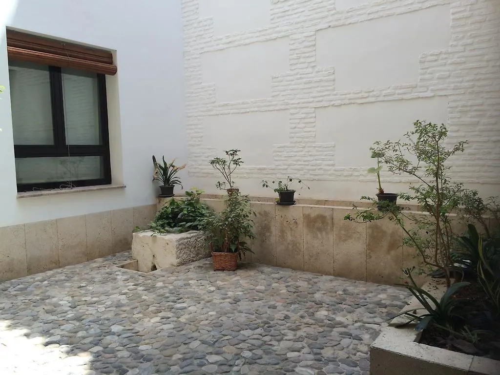 Apartment Apartamentos Coronado Malaga